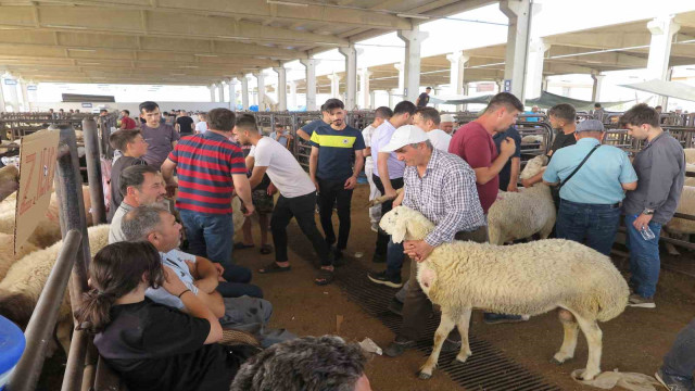 Arefe günü kurban pazarlarında hareketlilik