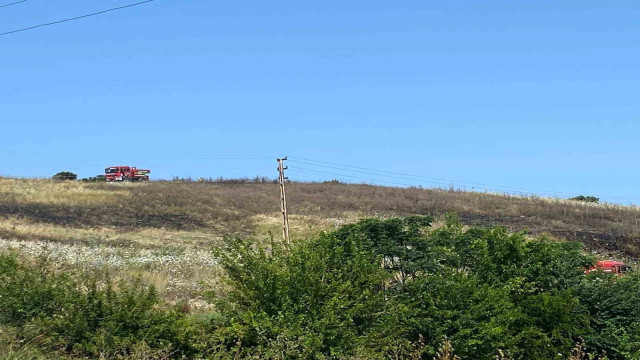 Arsuz’da ot ve çalı yangını, ormanlık alana sıçramadan söndürüldü