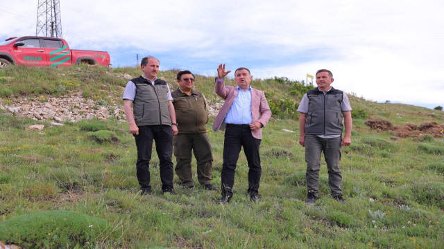 Bayburt’ta bin dekarlık alanda 300 bin fide toprakla buluşturulacak