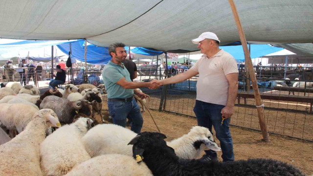 Bayramın ilk gününde kurban pazarında hareketlilik