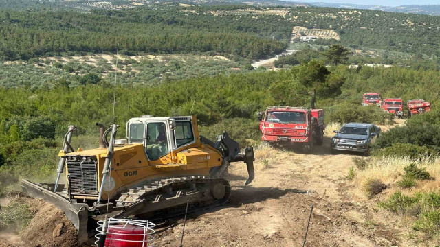 Bergama’daki orman yangını kontrol altına alındı