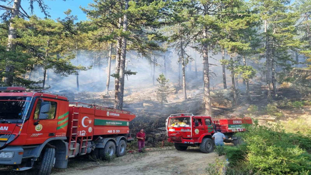 Bozdoğan Kaymakamlığı’ndan orman yangını uyarısı