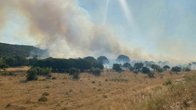 Çanakkale’de alevlerin tehdit ettiği köy boşaltıldı