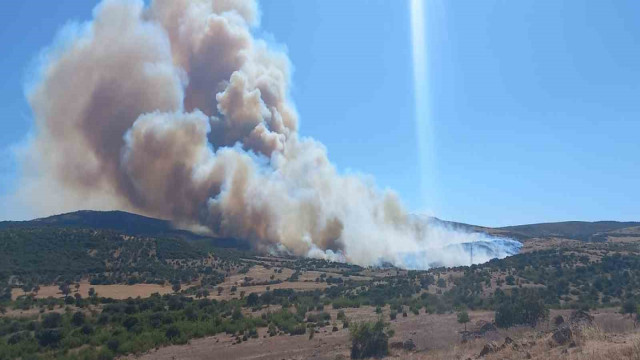 Çanakkale’de çöplükte başlayan yangın ormanlık alana sıçradı