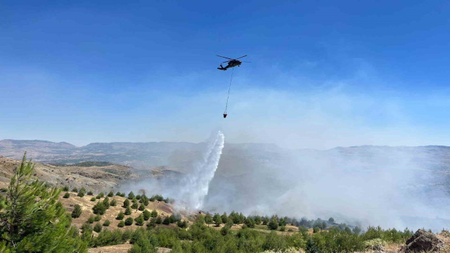 Çobanın çay ateşi ormana sıçradı