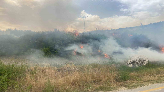 Denizli’de 1 günde 10 orman yangını çıktı