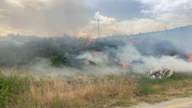 Denizli’de üç noktada orman yangını çıktı