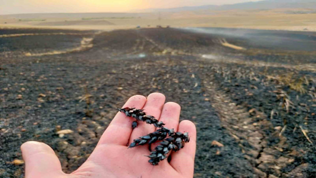 Diyarbakır’da ekin tarlasında yangın