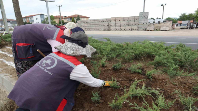 Düzce’nin dört bir yanı çiçeklendiriliyor