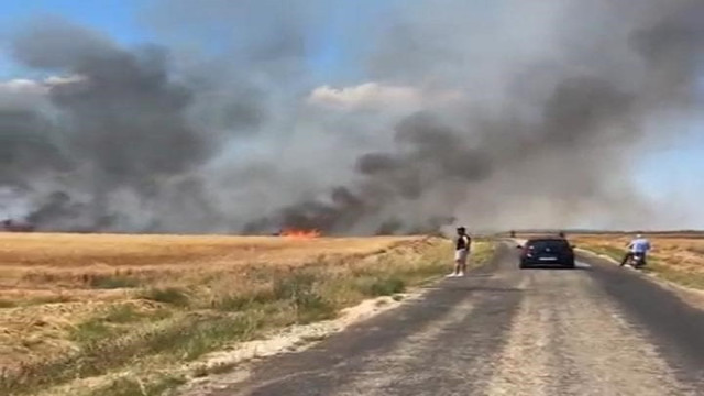 Edirne’deki yangında 20 bin dönümlük alanda 38 ton buğday kül oldu