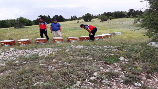 Emet’te ayılar tarafından kovanları parçalanan yetiştiriciye arkadaşlarından destek