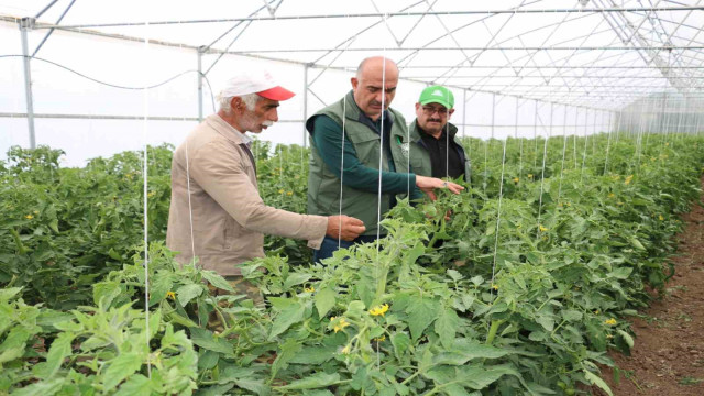 Erzincan son yıllarda yapılan yatırımların meyvelerini toplamaya başladı