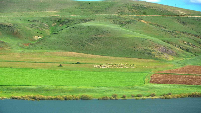 “Erzurum’da süt ürünleri üretimi gelişime açık”