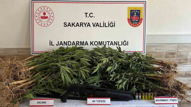 Jandarma uyuşturucuya geçit vermiyor: 5 gözaltı