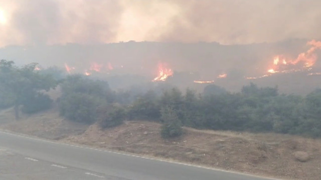 Kahramanmaraş’ta iki ayrı alanda örtü yangını