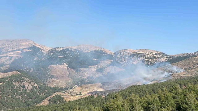 Kahramanmaraş’ta orman yangını: Ekipler müdahale ediyor