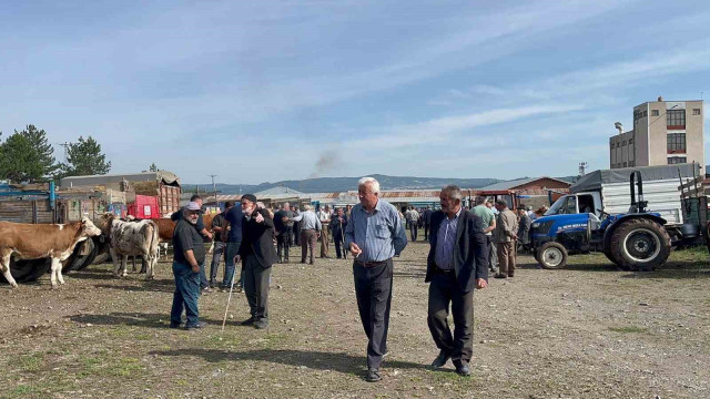 Kastamonu’da hayvan pazarında Kurban Bayramı öncesinde hareketlilik