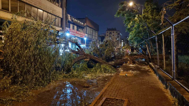 Kayseri’de şiddetli rüzgar ağaçları devirdi, vatandaşlar yolda mahsur kaldı