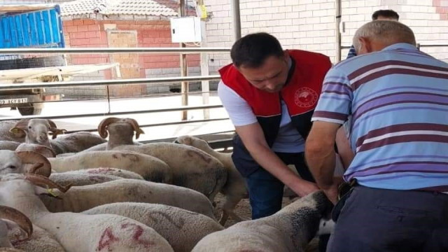 Kırklareli’nde kurbanlık hayvan satış yerleri denetlendi