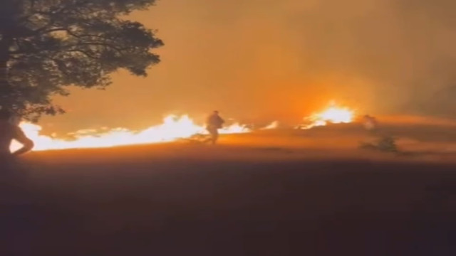 Malatya’da 14 saatte 89 örtü ve orman yangını çıktı