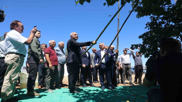 Malatya’da kayısı hasat şenliği düzenlendi