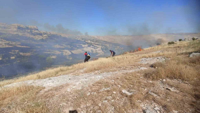 Mardin’de ormanlık alanda çıkan yangın devam ediyor