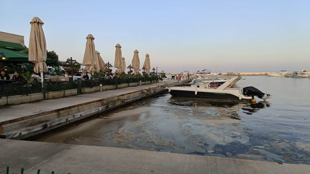 Marina'daki Deniz Kirliliği İsyan Ettirdi