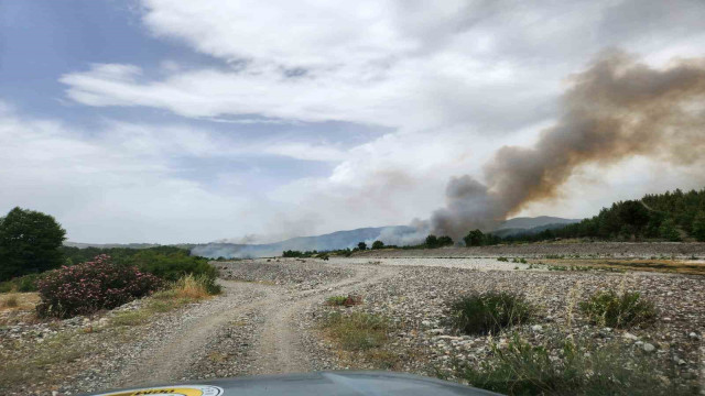 Muğla sınırında başlayan orman yangını Denizli’ye sıçradı