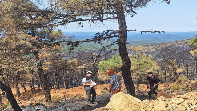 Orhaneli’ndeki yangında 96 hektar orman kül oldu, ağaçlandırma çalışması başladı