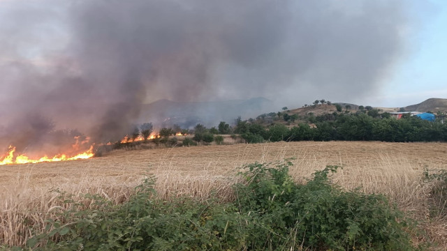 Saman yangınında hayvanlar tahliye edildi