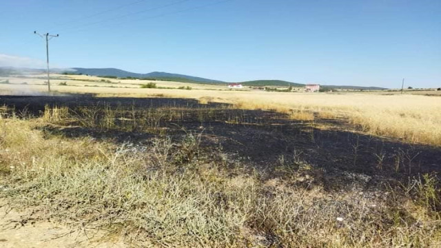 Sinop’ta buğday tarlasında yangın