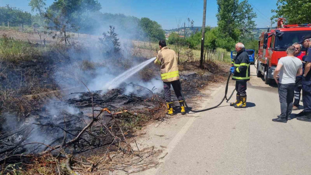 Sinop’ta kuru dallar yandı, elektrik direği zarar gördü