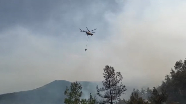 Sinop’taki orman yangını