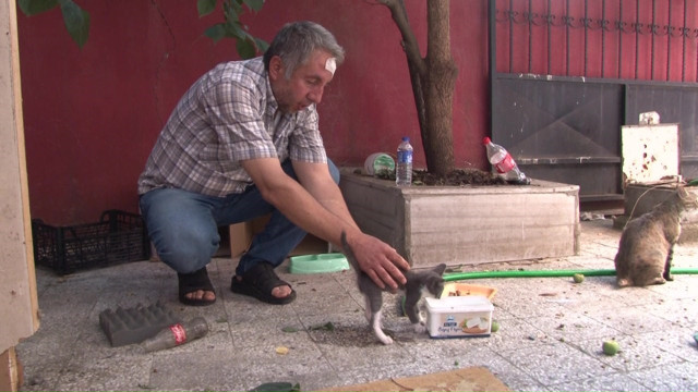 Sokak hayvanlarını beslediği için darp edildi