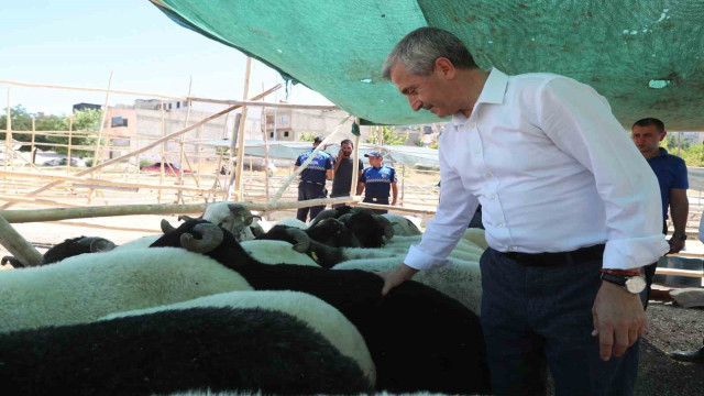 Tahmazoğlu’ndan Kurban Bayramı’nda vatandaşın yüzünü güldürecek hamle