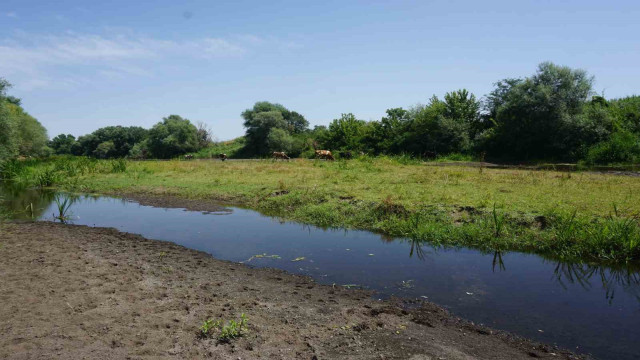 Tunca Nehri’nde kuraklık alarmı: Bölge üreticisi endişeli