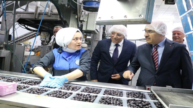Vali Demirtaş: ”Marmarabirlik zeytin üreticisinin can simidi”