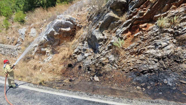 Yol kenarındaki yangın ormana sıçramadan söndürüldü