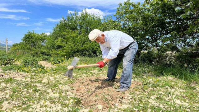 80 yaşında tarlada gençlere taş çıkartıyor: ”Çalışmadan duramıyorum”