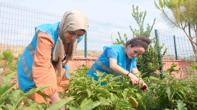 Adana Gençlik Merkezi üretiyor, çocuklar afiyetle yiyor