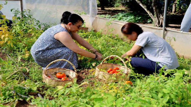 Adana’da ruh sağlığı tedavisi görenler tarımla terapi oluyor