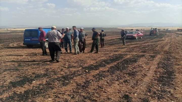 Altıntaş’ta çıkan yangında yaklaşık 3 bin dekar ekili alanda zarar gördü