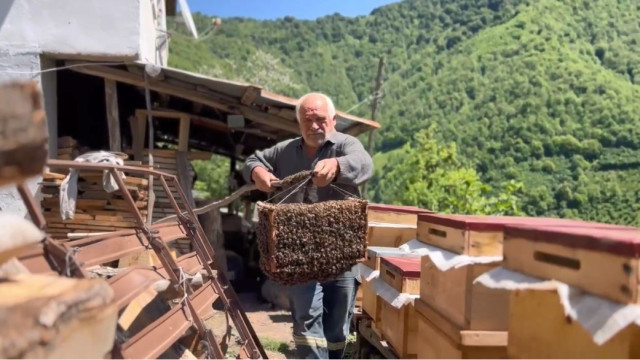 Arılar oğul verdi, babasının yeni koloni oluşturma sürecini film gibi çekti