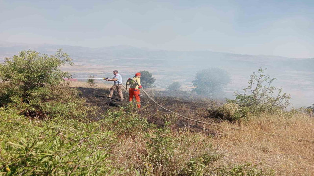 Bingöl’de çıkan yangın ormanlık alana sıçramadan söndürüldü