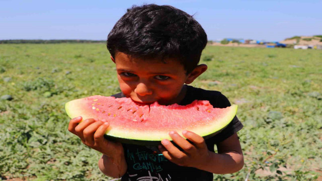 Bunaltıcı sıcaklar sulu meyvelere yöneltti