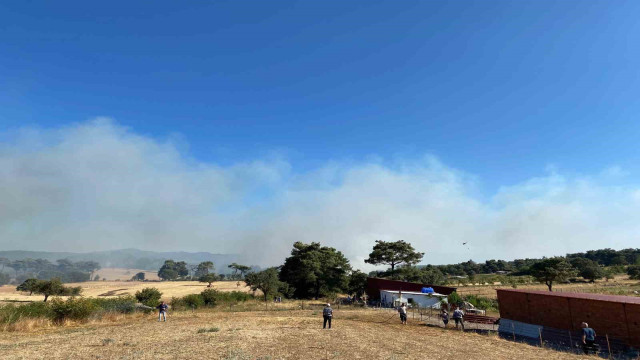 Çanakkale’de orman yangını: Havadan ve karadan müdahale ediliyor