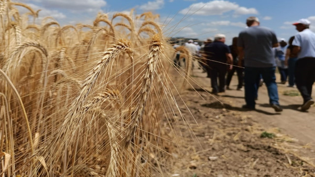 ’Çeşidin doğru verimin bol olsun’ projesi gerçekleşti