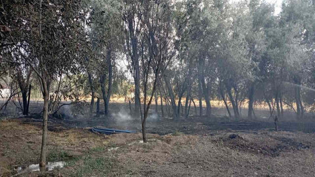 Elazığ’da bahçede korkutan yangın