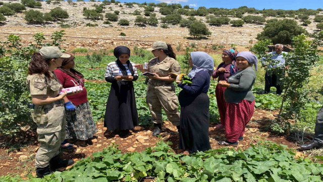 Gaziantep’te jandarma KADES uygulamasını tanıttı