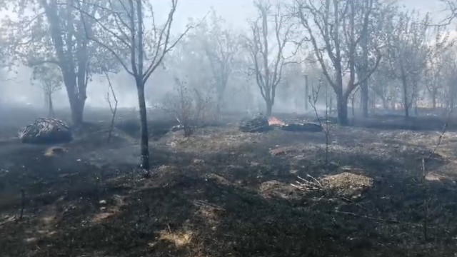 Isparta’da meyve bahçesinde çıkan yangında ağaçlar ve samanlar kül oldu